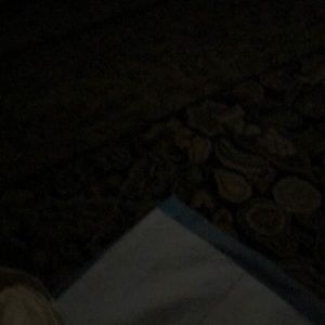 Meet your Posher, Charles